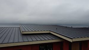 Best Solar Panel Roofing Installation  in Lone Pine, CA